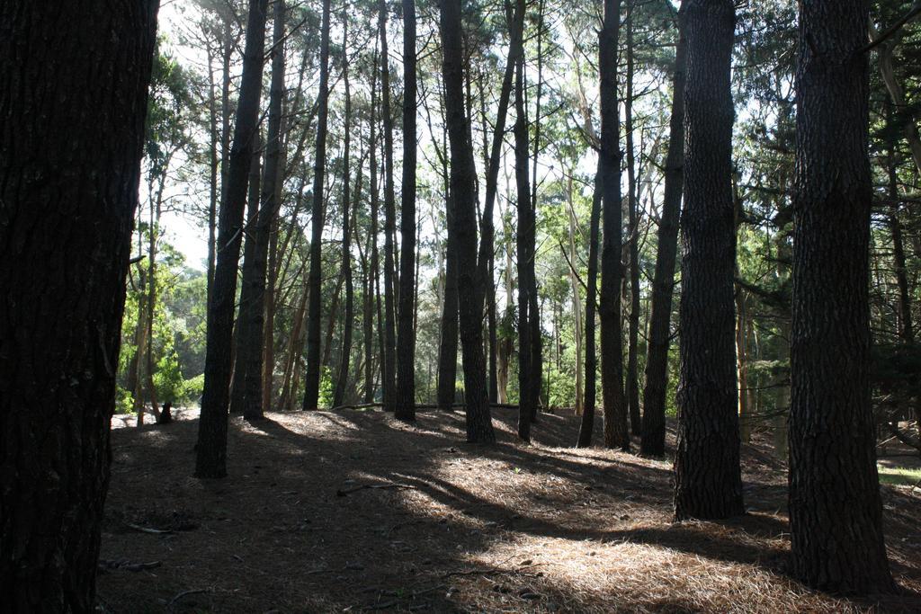 Cabanas Hurra Pampa Mar de Las Pampas Ruang foto