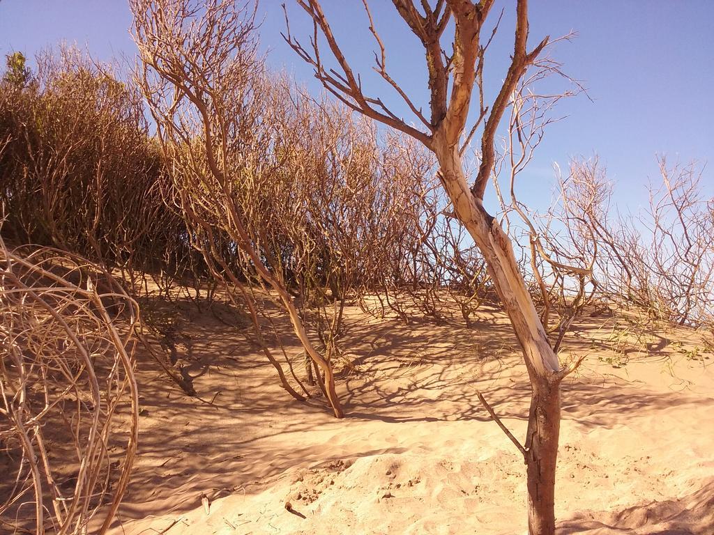 Cabanas Hurra Pampa Mar de Las Pampas Bagian luar foto